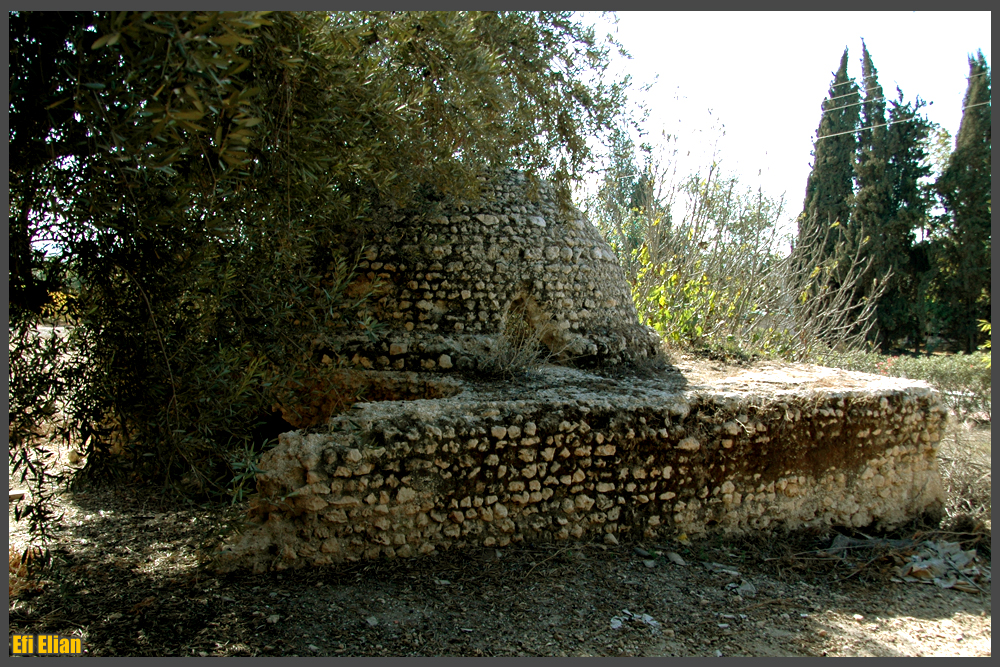 קבר השי'ח במושב עזריקם - צילום: אפי אליאן