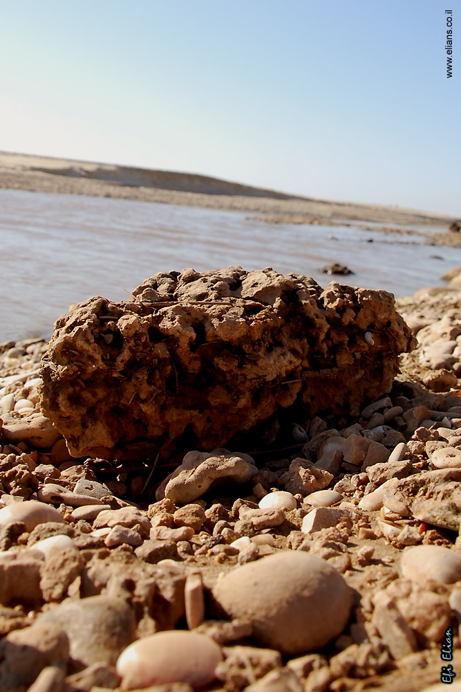 אבנים וחלוקי נחל בשפך נחל אלכסנדר לים התיכון
