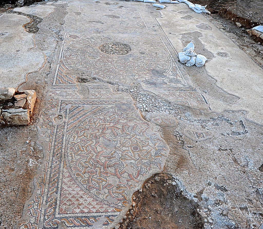 הפסיפס שהתגלה בחפירות בבית קמה - צילום: יעל יולוביץ, באדיבות רשות העתיקות