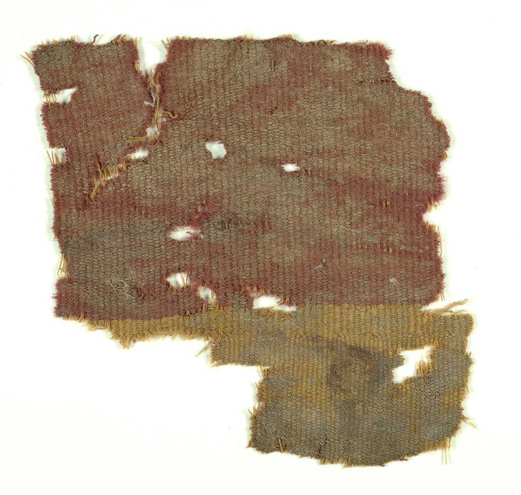 פיסות האריג שנחשפו במדבר יהודה - צילום: קלרה עמית, באדיבות רשות העתיקות
