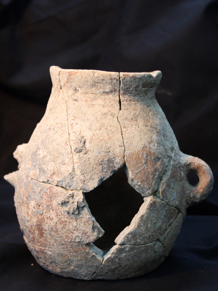 חלקי הכד השמן שנחשפו בעין ציפורי - צילום: רשות העתיקות