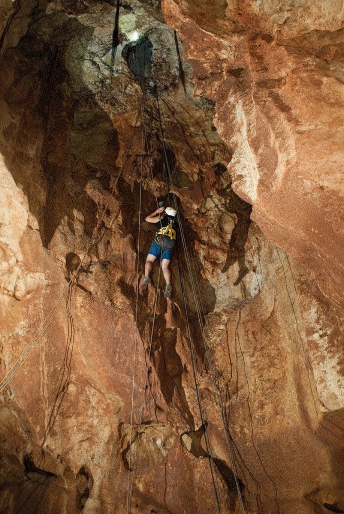 הכניסה למערה כדרך החור שפער הדחפור בתקרתה - צילום: אסף פרץ