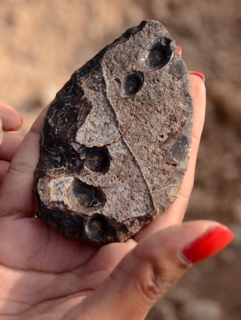 להב מאבן צור שנחשף באתר העתיקות בתל אביב - צילום: יולי שוורץ