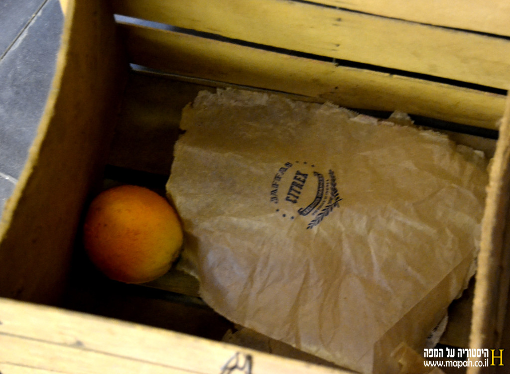 נייר מודפס לדוגמא ותפוז דמה בארגז פירות הדר - צילום: אפי אליאן