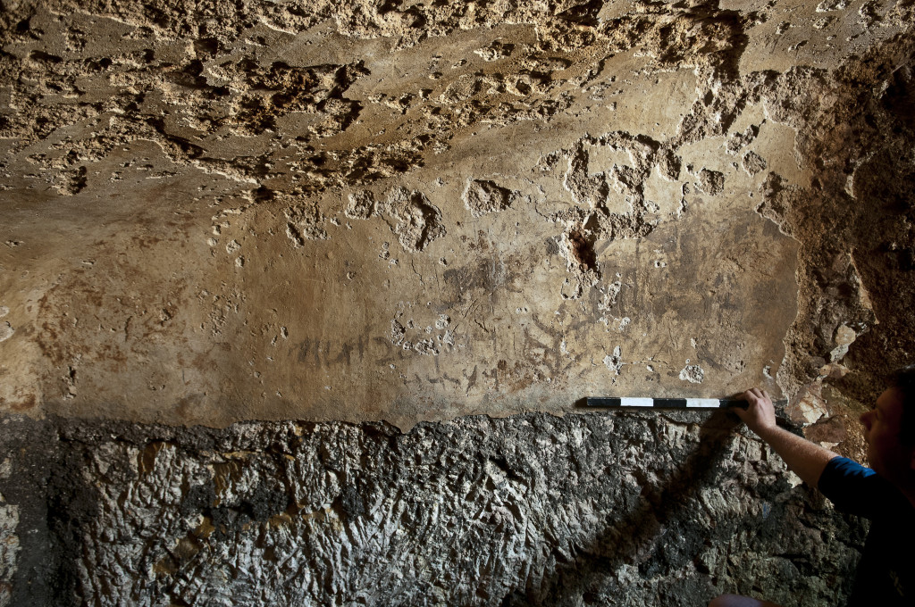 רועי גרינולד מנהל החפירה מטעם רשות העתיקות בוחן את הכתובות - צילום: שי הלוי