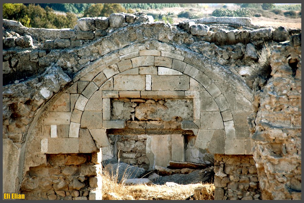 שער הכניסה הצפוני למסגד סלאם אל פארס - צילום: אפי אליאן
