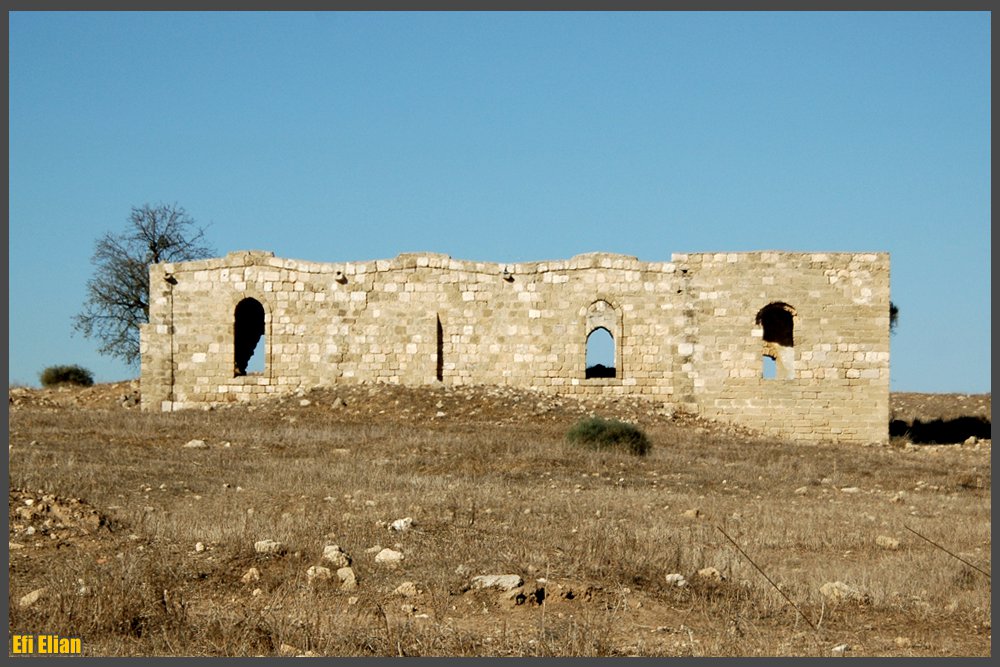 מראה כללי של השטח וחלקו הדרומי של מסגד סלמאן אל פארס - צילום: אפי אליאן