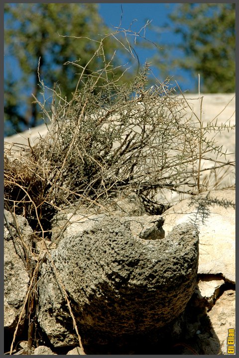 מרזב הגג של המבנה - צילום: אפי אליאן