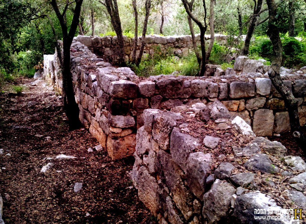 שרידי מבנים עתיקים מהתקופה הרומית בחורבת דנעילה - צילום: אפי אליאן