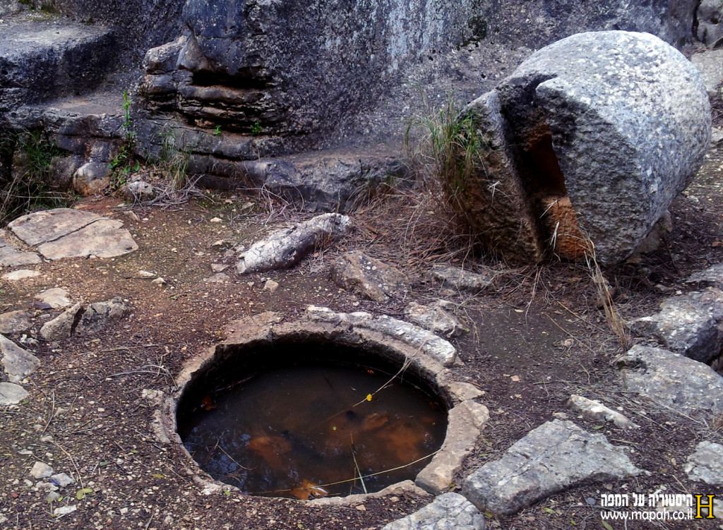 חלל הבסיס והאבן ריחיים בבית הבד הביזאנטי - צילום: אפי אליאן