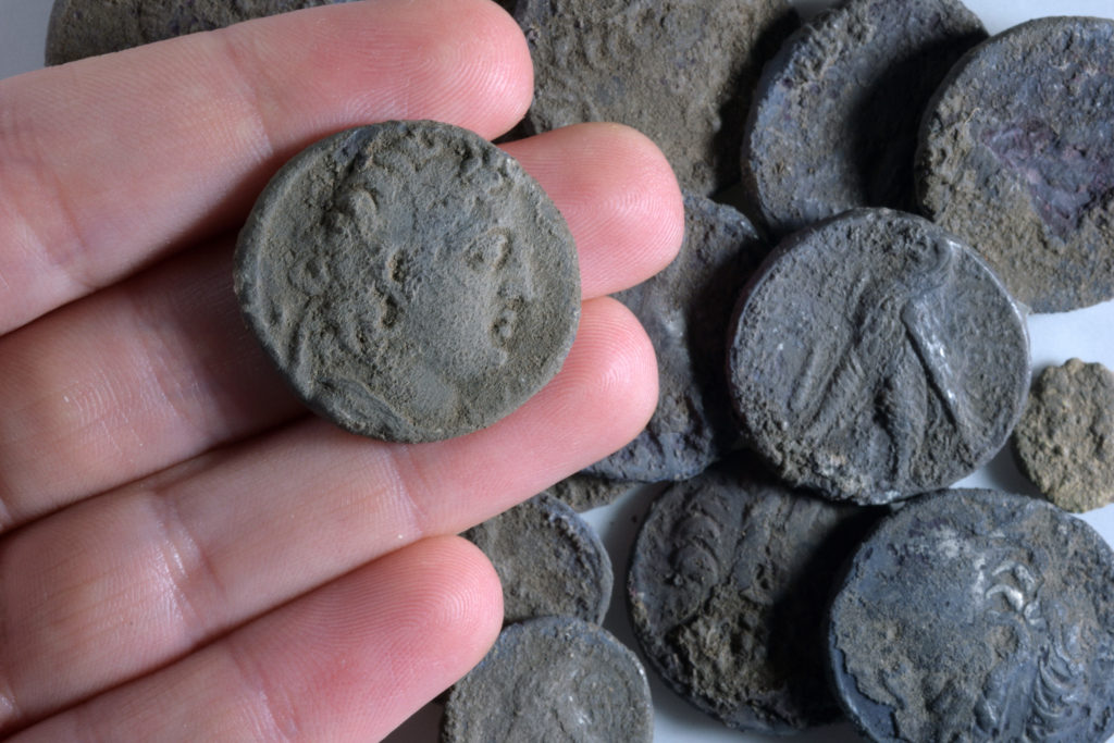 מטבע אנטיוכוס השביעי על רקע שאר מטבעות המטמון שנחשפו– צילום סטודיו: קלרה עמית