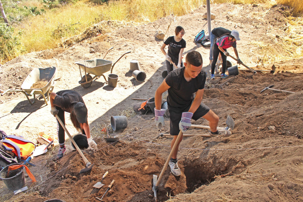 350 תלמידי שכבה י' משתתפים בשבוע חפירות מרוכז עם רשות העתיקות בגליל. צילום: מיקי פלג, רשות העתיקות