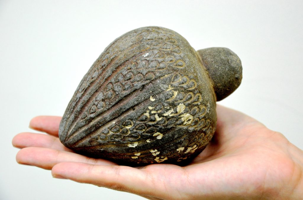 רימון יד בן מאות שנים שנמצא בים. צילום: אמיר גורזלזני
