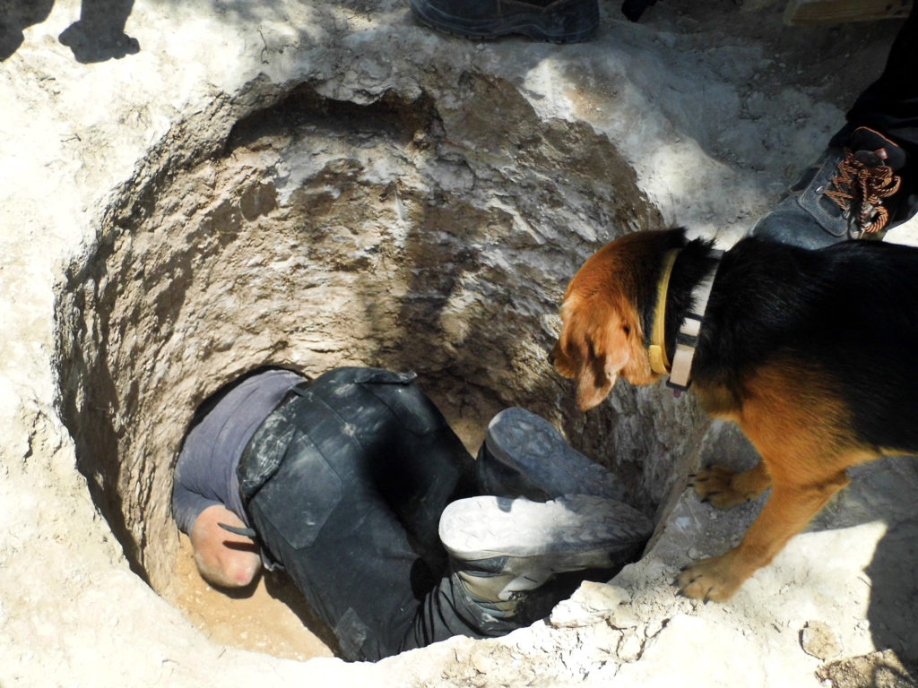 ארכיאולוג רשות העתיקות דוד תנעמי משתחל לפתח הקבר הצר ומוציא החוצה קנקן. צילום: שועה קיסילביץ