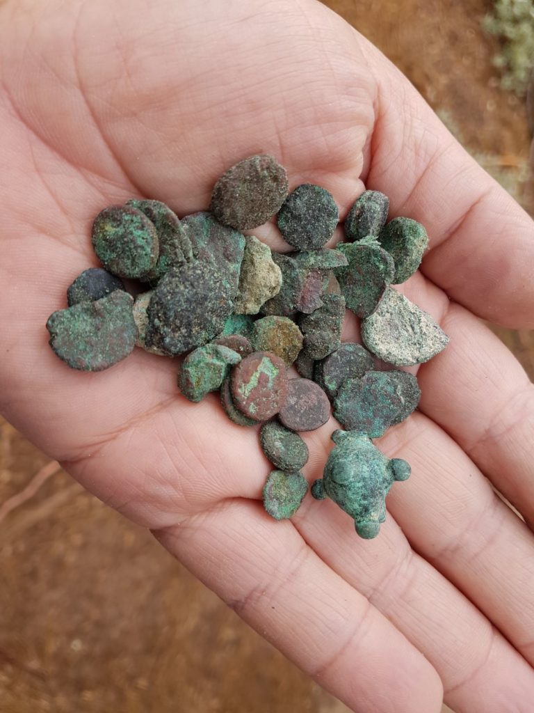 חלק מהמטבעות שנתפסו אצל החשוד - צילום: גיא פיטוסי, רשות העתיקות