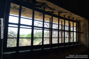 הסורג הכפול בתא המעצר של משטרת באטאני - צילום: אפי אליאן