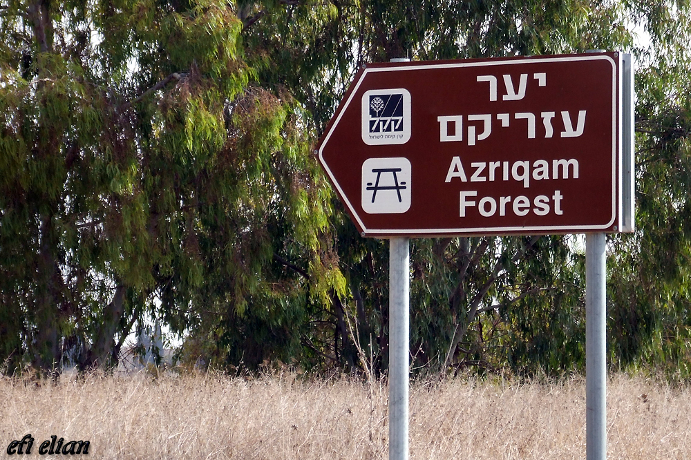 שילוט הכניסה ליער עזריקם - צילום: אפי אליאן