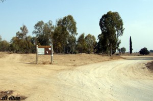 מבואות הכניסה ליער עזריקם והשילוט במקום - צילום: אפי אליאן