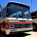 אוטובוס מדגם מרצדס O-303 מבין המאות ששירתו בכבוד בחברת אגד - צילום: אפי אליאן