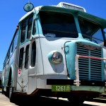 שוסון, אחד האוטובוסים שזכו לחוסר אהדה מכיוון הציבור - צילום: אפי אליאן