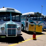 שוסון לצד לילנד - צילום: אפי אליאן