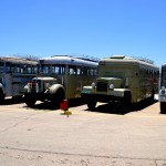 הבולטים בכניסה למוזיאון הרכב ההיסטורי - צילום: אפי אליאן