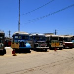 הבולטים בכניסה למוזיאון הרכב ההיסטורי - צילום: אפי אליאן