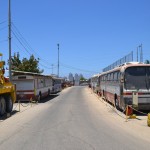 השדרה הצפונית של מוזיאון הרכב ההיסטורי - צילום: אפי אליאן