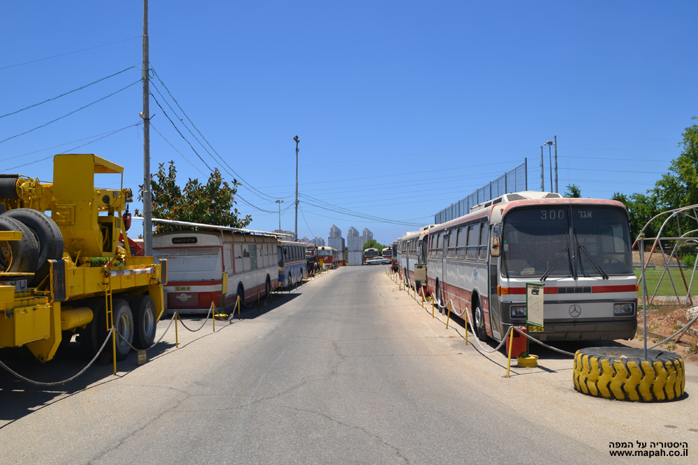 השדרה הצפונית של מוזיאון הרכב ההיסטורי - צילום: אפי אליאן