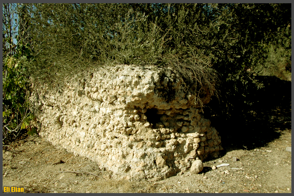 מבנה קבר השיח' במושב עזריקם - צילום: אפי אליאן