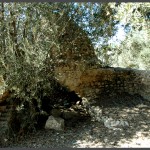 מבנה קבר השיח' במושב עזריקם - צילום: אפי אליאן