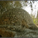 כיפת מבנה קבר השיח' במושב עזריקם - צילום: אפי אליאן