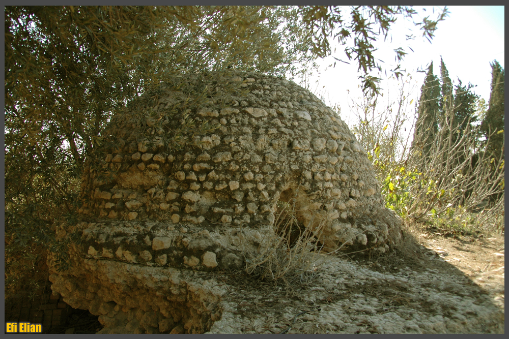 כיפת מבנה קבר השיח' במושב עזריקם - צילום: אפי אליאן