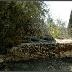 קבר השי'ח במושב עזריקם - צילום: אפי אליאן