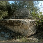 כיפת מבנה קבר השיח' במושב עזריקם - צילום: אפי אליאן