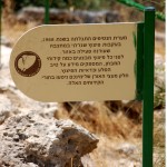 שילוט בסמוך למערת הנטיפים - צילום: אפי אליאן