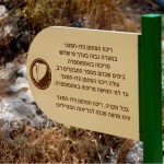 שילוט מידע אודות מערת הנטיפים - צילום: אפי אליאן