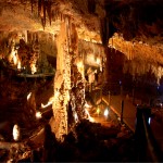 זקיפים במערת הנטיפים בשורק - צילום: אפי אליאן