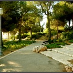 שביל סלול בתוככי הגן מהוואל לורדים בירושלים - צילום: אפי אליאן