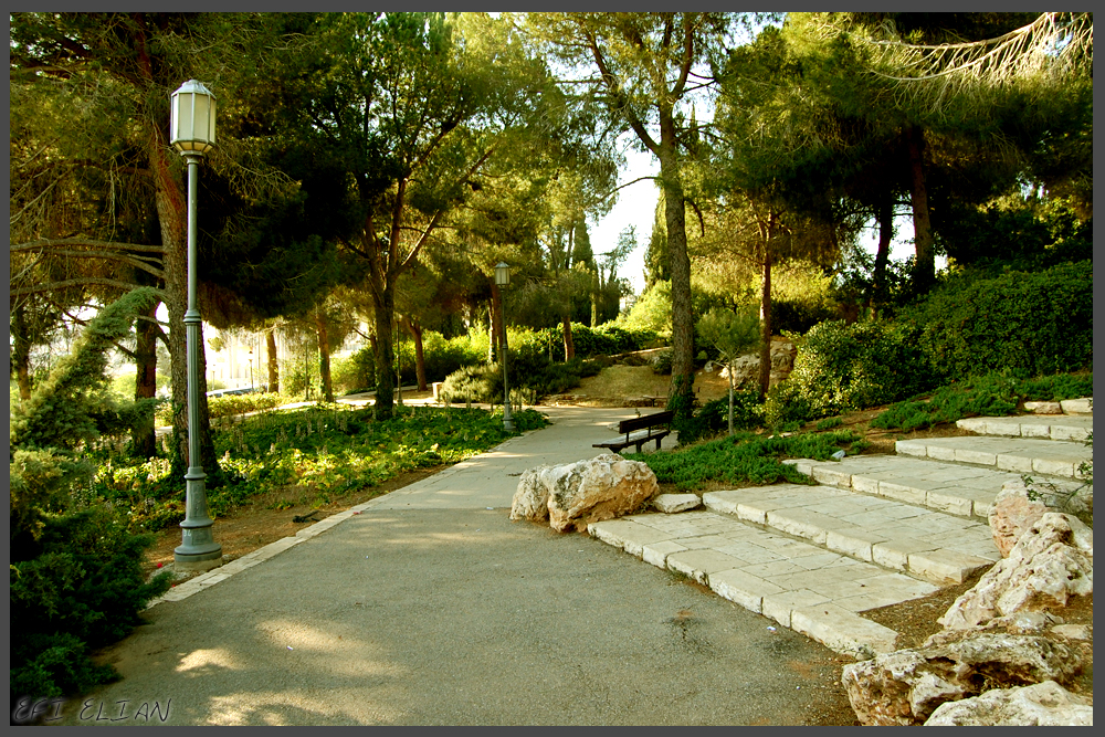 שביל סלול בתוככי הגן וואהל לורדים בירושלים - צילום: אפי אליאן