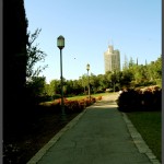 אחד משבילי הצד בגן מאהוול לורדים בירושלים - צילום: אפי אליאן