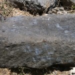 אחת מאבני הקשירה שנמצאו בקרקעית חומת הים הדרומית בעכו