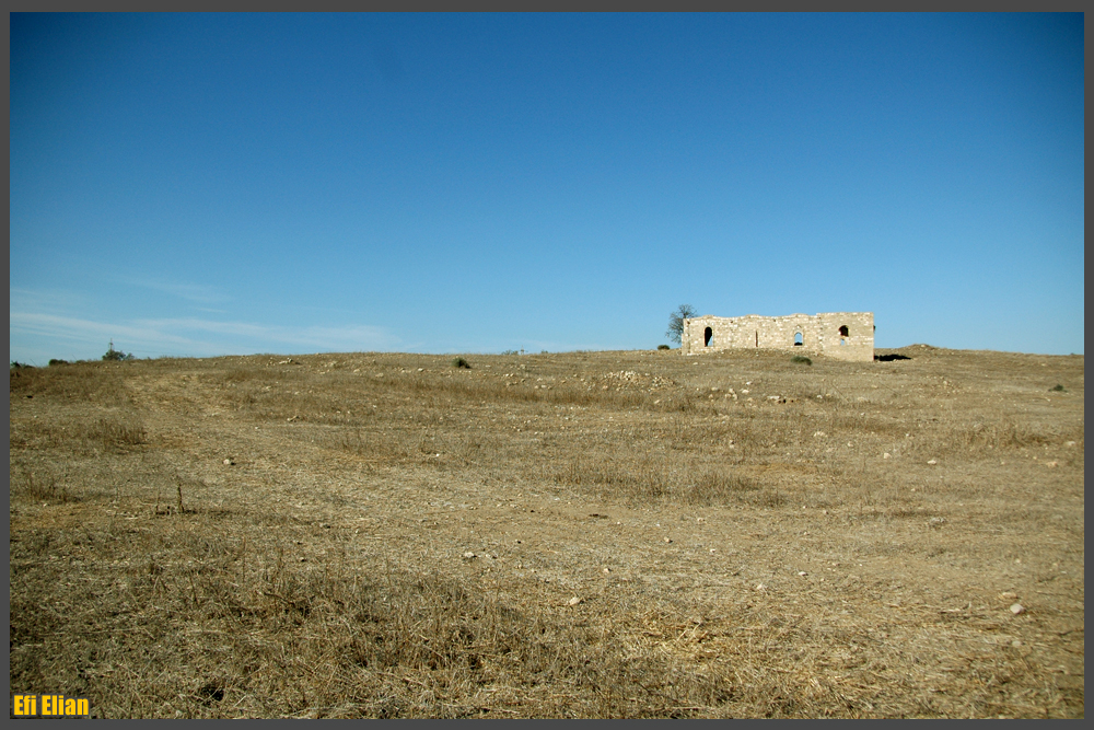 הגבעה ומסגד סלמאן אל פארסי באיסדוד