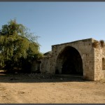 קבר השיח אבו אל קאבל בפרדס הסמוך לתל איסדוד