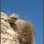 מרזב ישן שנבנה מלבני צדפים וכורכר
