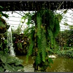 הכניסה לפארק אוטופיה