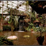 האולם הטרופי הראשי של אוטופיה בקיבוץ בחן