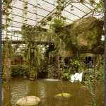 בריכת המים בכניסה לפארק אוטופיה