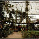 אחד השבילים הראשיים בתוך הפארק