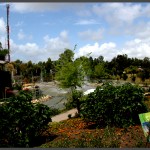 מבט אל הגן הבוטני של פארק אוטופיה